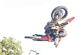 _ROB4039 (Copy)